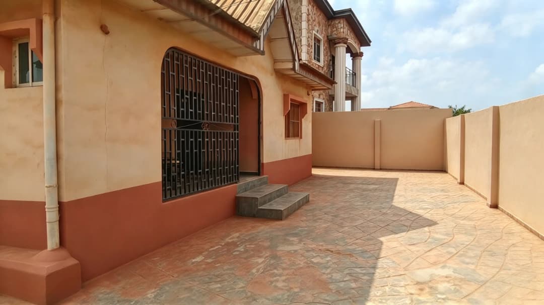 55M 2